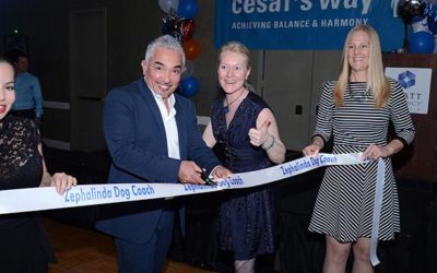 Opening door Cesar Millan