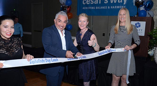 Opening door Cesar Millan